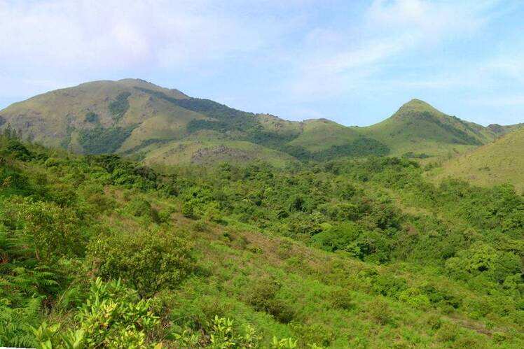 Tadiandamol Trek