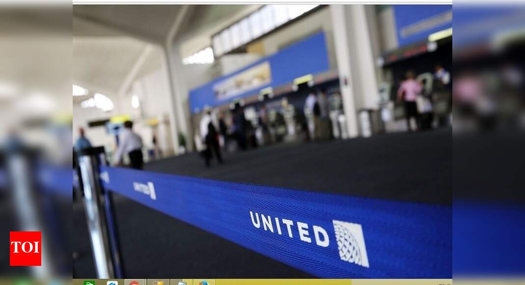 Rabbit set to be world's biggest dies on United Airlines flight - Times ...