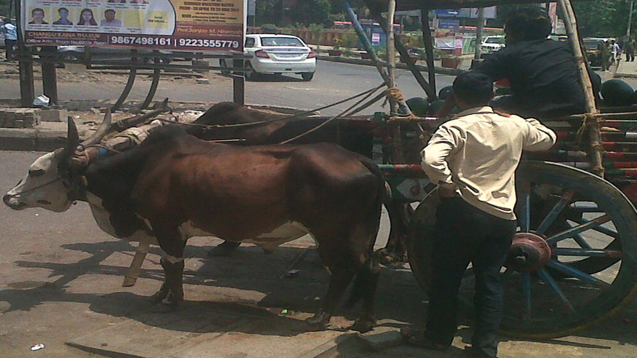 Bullock 146 Theft. : : Automotive