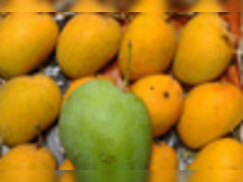 Can mango make you sick Home Screen Wallpaper