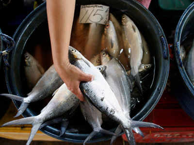 Fish price declined in Kerala despite soaring demand, says CMFRI study