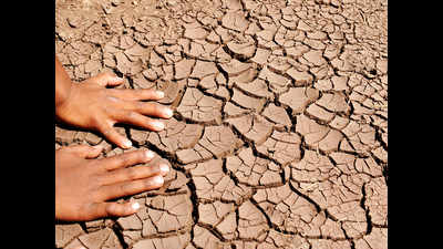 Drought relief yet to reach us: farmers