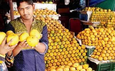 mango varieties in tamil