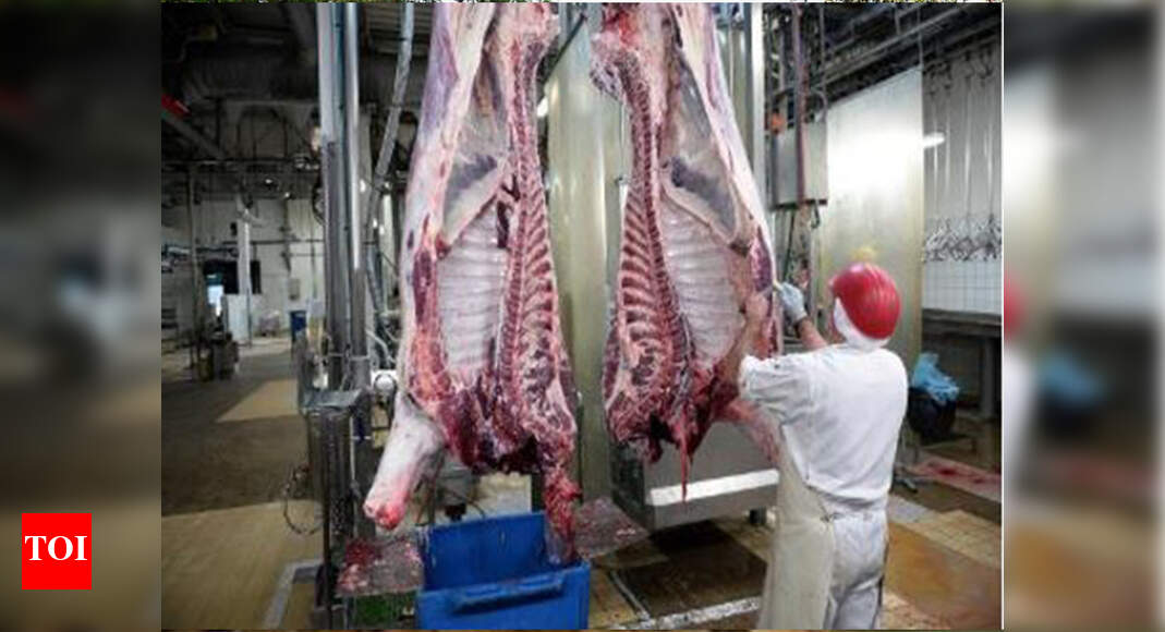 Slaughterhouse Waste from animal slaughter sullies Musi lake, locals