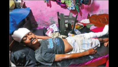 Kolkata: Calf 'jumps off' building, falls on man, dies