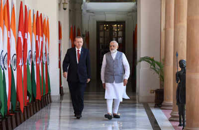 Turkey President Erdogan backs India's UNSC bid