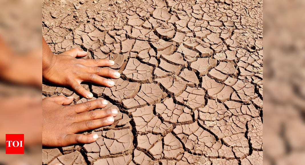 dry-land-agriculture-offers-hope-to-parched-rain-fed-areas-trichy