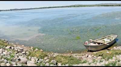 UT doing nothing to save Sukhna lake, claim residents