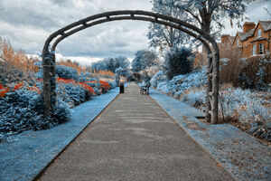 Botanic Garden