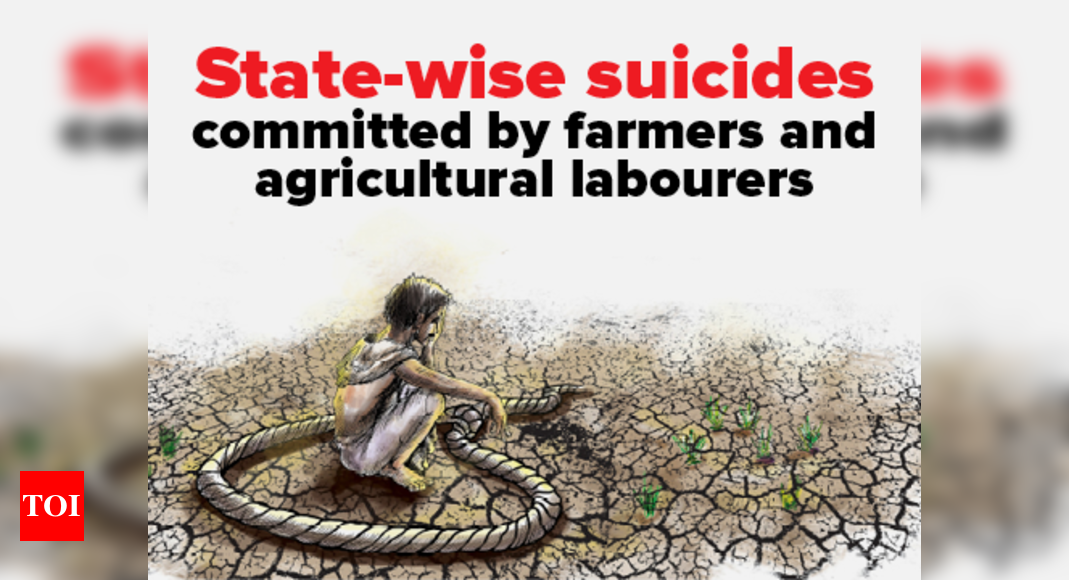 essay on farmers suiciding in india