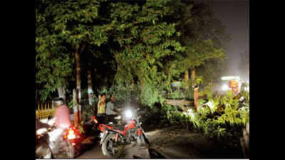 Strong winds uproot trees, snap power in Lucknow
