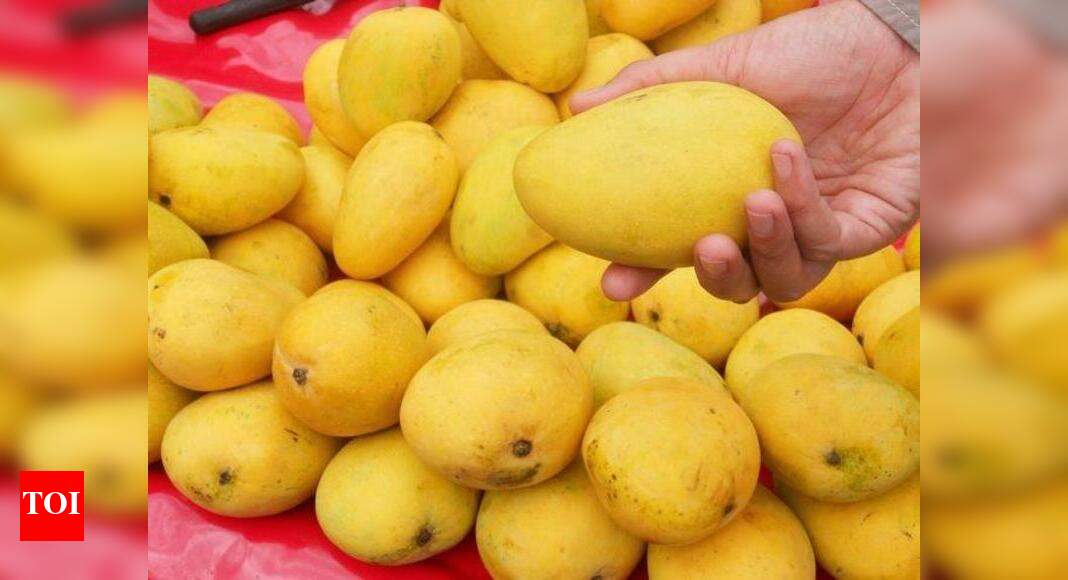 Banaganapalle mango gets GI status; AP govt is its proprietor Chennai