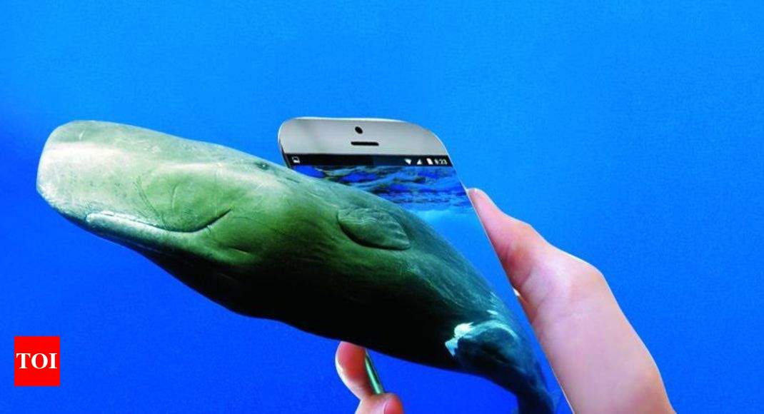 suicide game: Beware of the Blue Whale app | News - Times of India