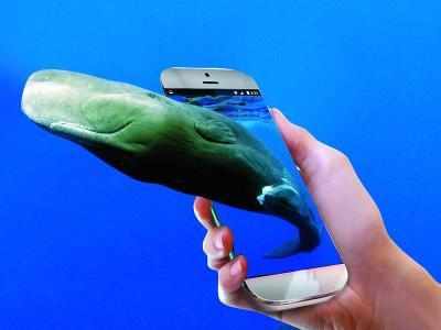 Beware of the Blue Whale app