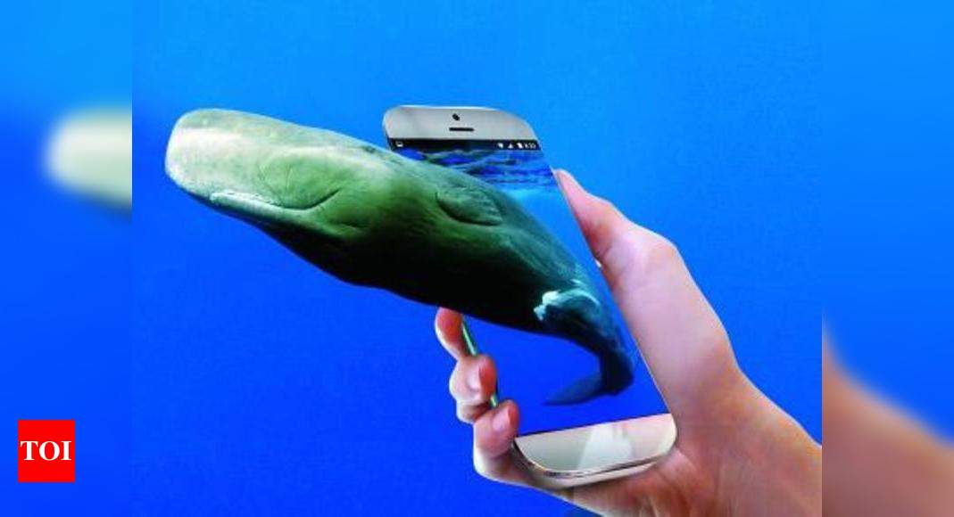 Blue Whale suicide challenge game: Beware of the Blue Whale app