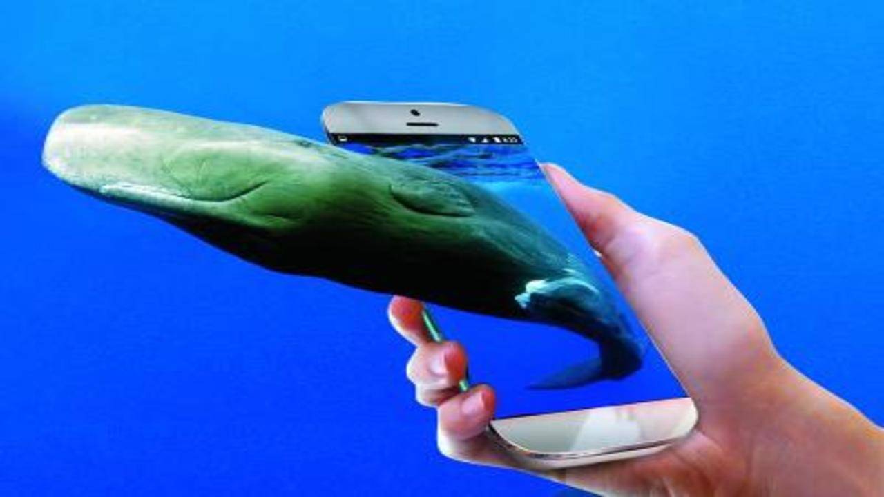 Blue Whale suicide challenge game: Beware of the Blue Whale app | - Times  of India