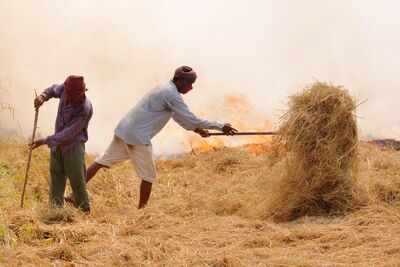 Crop fires reduced, Delhi air quality better this year