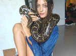 Doron Matalon with snake