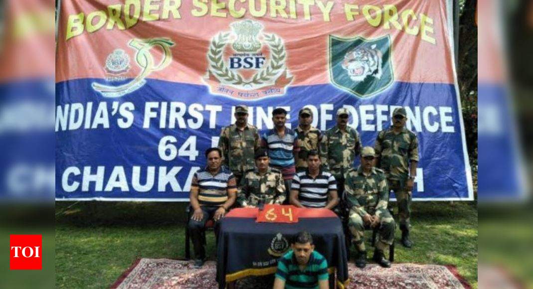 Indo-Bangladesh Border : BSF seizes nearly 1.785 kg gold from Bongaon ...