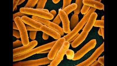 E.coli scare: BMC destroys 13,700kg ice