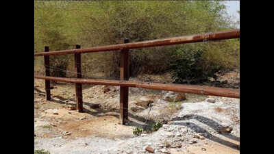 Tusker leaps over fence to enter forest