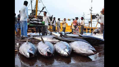 Goa announces annual fishing ban