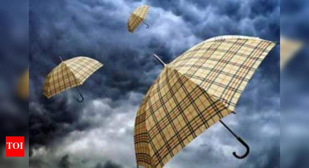 Kochi Umbrellas Kochi techies to sport umbrella’s from Attapadi tribal