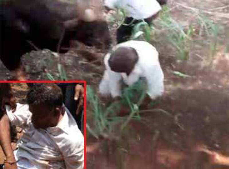 On camera: Wild gaur attacks and kills farmer, journalist in Kolhapur