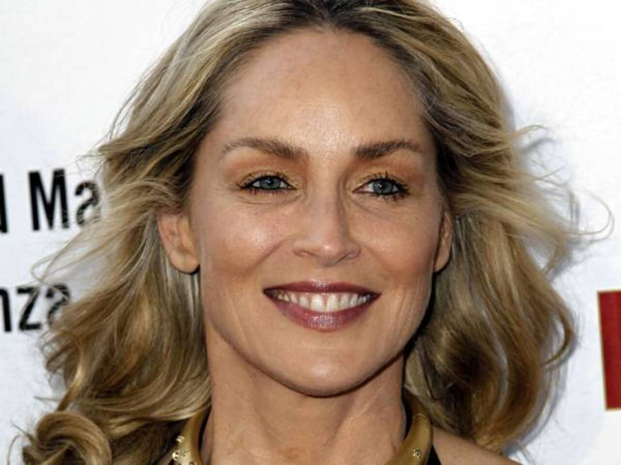 Sharon Stone Hairstyles, Hair Cuts and Colors