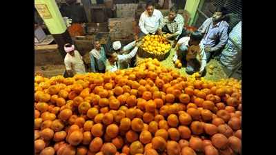 Rajasthan to brand, market local orange varieties