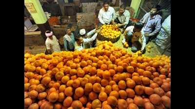 Rajasthan to brand, market local orange varieties