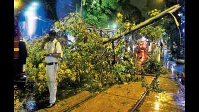 Ecologists give clarion call to save Kolkata greenscape