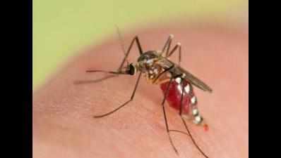 Spike in malaria cases in Ahmedabad