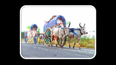 Keeping Madurai's 200-year tradition alive with bullock carts