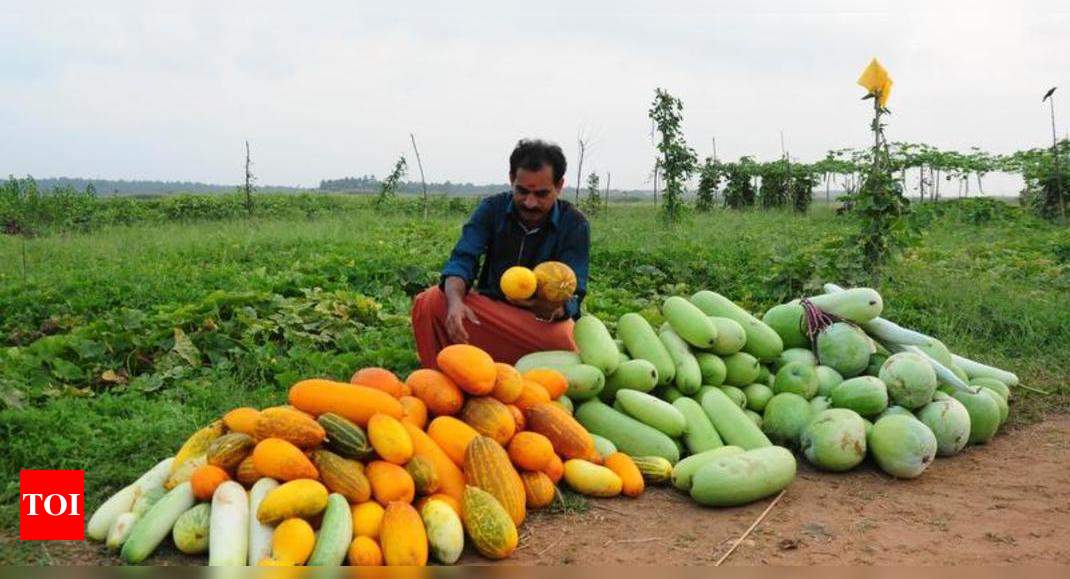 case study of organic farming in kerala