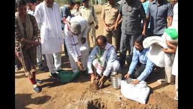 Dave’s mortal remains immersed in Narmada, CM plants five saplings