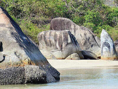 Goa’s 16 rock eras tell Earth’s story | Goa News - Times of India