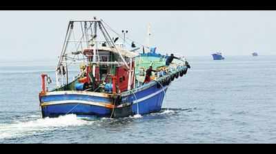 Fisheries in Kochi thrive despite dip in sardines catch