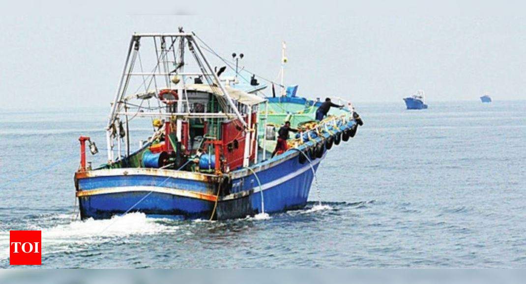 Fisheries in Kochi thrive despite dip in sardines catch | Kochi News ...