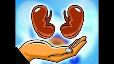 Women donate kidneys to save each other’s husbands