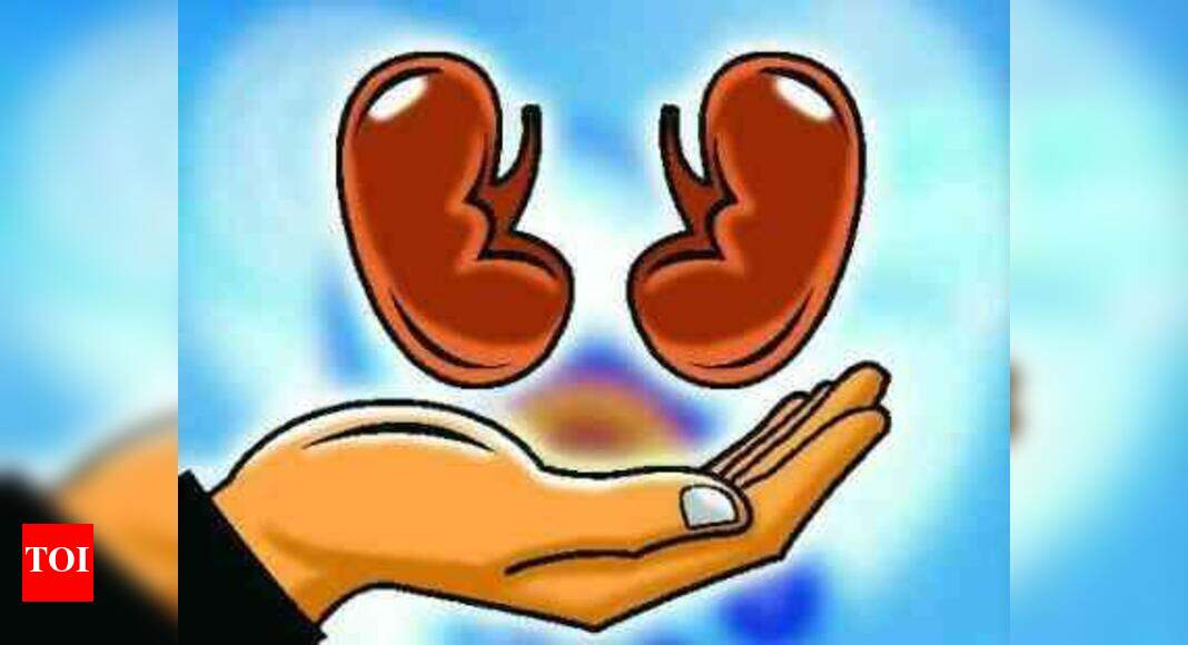Women donate kidneys to save each other’s husbands Noida News Times