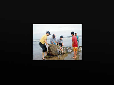 UN to tie up with Versova beach champs for cleaner seas in India