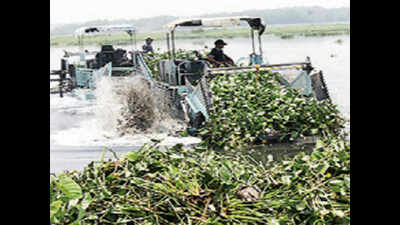 Not enough funds to clean Bellandur lake