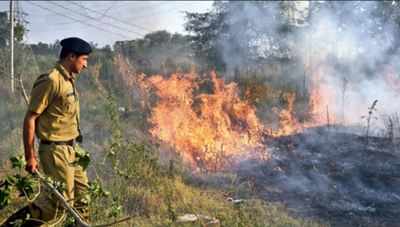 Civic body's timely action averts major fire in Chandigarh
