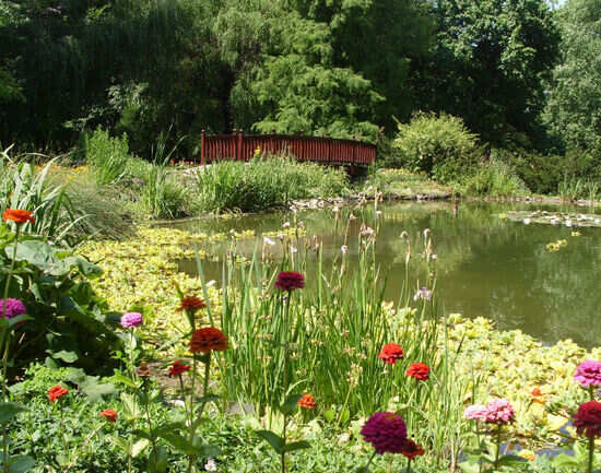 Botanical Gardens