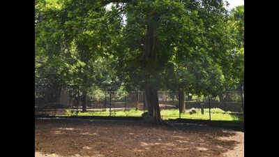 Byculla garden and zoo entry fee increase gets a nod | Mumbai News ...