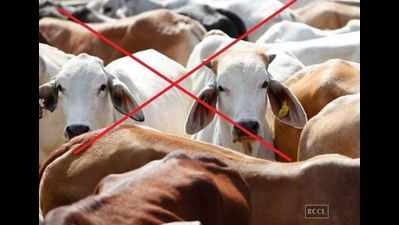 Big fashion brands may flee Kolkata in face of cattle trade ban