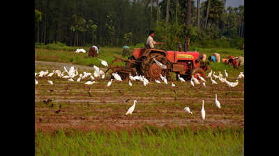 Farmers need to take up organic farming: Sardesai