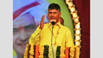 Chandrababu Naidu re-elected TDP central committee chief