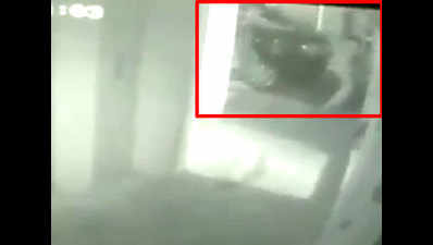 Caught on cam: Woman techie shot dead in Noida